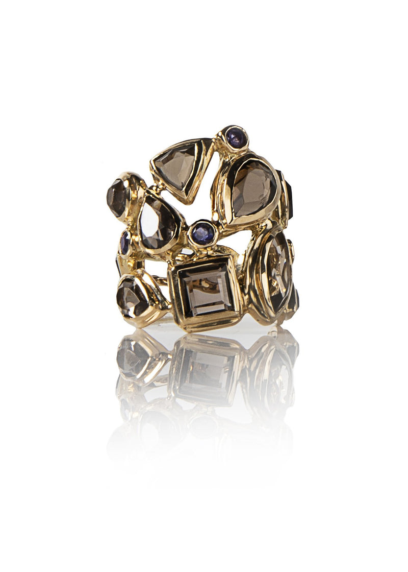 Mosaic Cocktail Ring with Smokey Topaz, Iolite Set in 18K Yellow Gold - Darby Scott